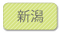 新潟