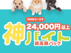 撮影について<br /><br />・ファッション誌のような街撮り、自社スタジオ内での撮影です。<br />下着姿での撮影は任意なので強制ではありません。稼ぐ為には撮影は必要だと考えています。リピートされるお客様が多く本指名の多い女性であれば宣材画像は非掲載でもOK!かと思います。<br /><br />・面談後(当店では面接でなく面談となります)、双方の条件面などが合えば、体験入店日や撮影日の日程調整となります。撮影日に美容室にてヘアアレンジやカラーリングなどを行いますが費用は当店が負担致します(1万円まで)また、新たにランジェリー(下着)を購入した場合は2万円まで補助が出ます。<br />