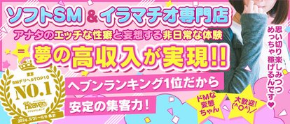 電マナイザーイラマチオン