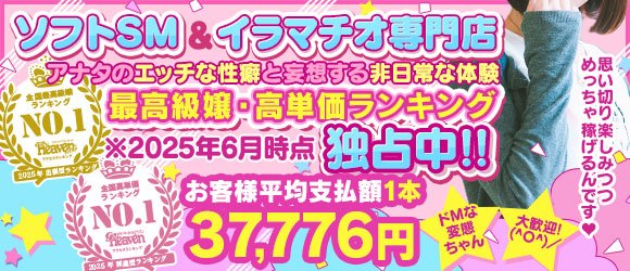 電マナイザーイラマチオン