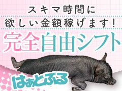 一日体験から初めてみませんか♪
