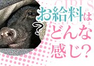 基本給＋好きな金額＝お給料です！オプション代はフルバックです♪