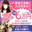 One More奥様 町田相模原店