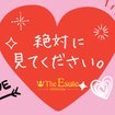 THE ESUTE 五反田店