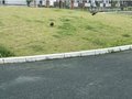 初めまして!!