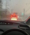 天然モザイク