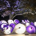 写真ではとても伝えずらい