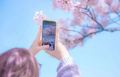 写メ日記で使う写真をいつ撮るのがいいか？？