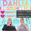 DAHLIA(ダリア)