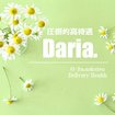 Daria -ダリア-