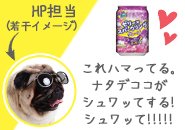 💡【POINT.3】個性豊かなスタッフを約束