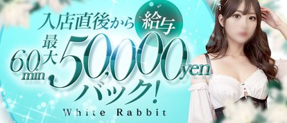 White Rabbit 横浜