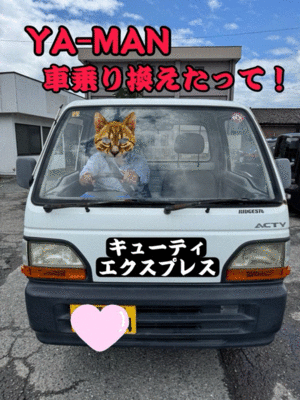 3/6★金曜ってやっぱり動く？