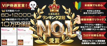 でりどす岡崎