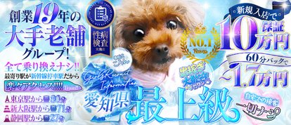 エロエロ星人豊橋店