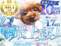 エロエロ星人グループは1826日連続１位の奇跡のお店です！東海屈指のブランド力と東海地区最大級の莫大な広告宣伝費による圧倒的【抜群の集客力】が自慢です！女の子の働きやすい環境を第一に考え、豊橋初の待遇をたくさん実現☆