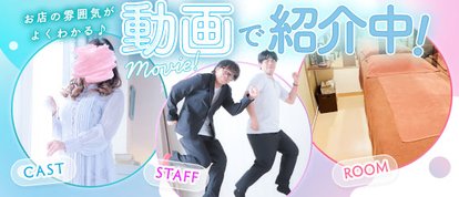 セオリー