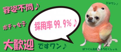 ばつぐん素人プロダクション