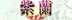北九州・熟女専門処・紫蘭マダム
