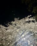 ギリギリ！