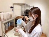 中谷：未経験の方でも経験者の方でも安心してお仕事できるように全力でサポートさせていただきます！キャスト経験があるからこそ貴方の力になりたいと思ってます！どんな悩みも是非聞かせてください🌸
