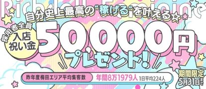 ﾘｯﾁﾄﾞｰﾙﾌｪﾐﾆﾝ