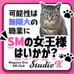 スタジオk スタジオケー 栄 大須 中区 Smクラブ 店舗 の求人 ガールズヘブン