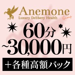 Anemone 渋谷店 アネモネシブヤテン 渋谷 高級デリヘルの求人 ガールズヘブン