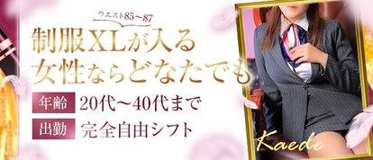 OLピンクコレクション