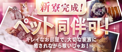 COCKTAIL岡山店