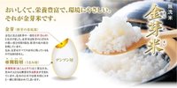 主食でも栄養を