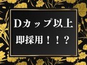 Dカップ以上なら即採用！！？