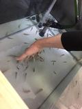綺麗にね