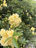 きれいな世界