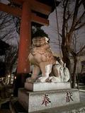 色々みること観察すること