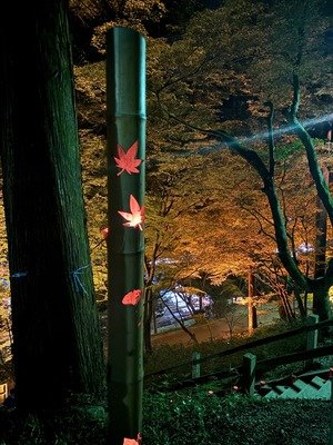 チョット早い紅葉狩り