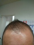 この毛、誰の毛、気になる毛(´・ω・｀)